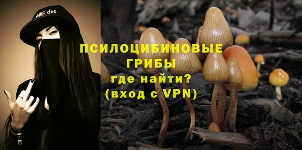 мяу мяу мука Туринск