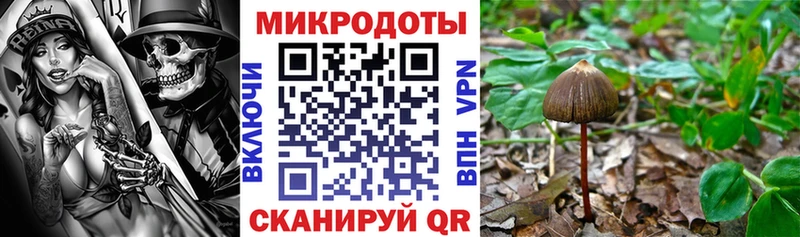 omg ONION  Агрыз  Псилоцибиновые грибы мухоморы  купить наркотики цена 