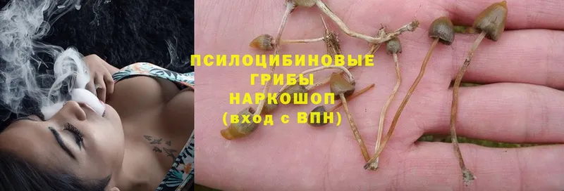 Галлюциногенные грибы GOLDEN TEACHER  купить наркотик  гидра ссылки  Агрыз 